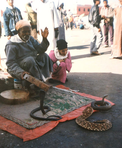 Venom . Marrakech 92