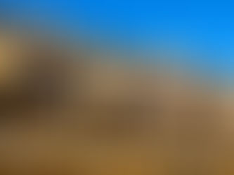 ブルゴーニュワインの首都、ボーヌを訪れる