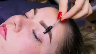 Eyebrow Tint  & Lamination at Victoria Beauty Salon
