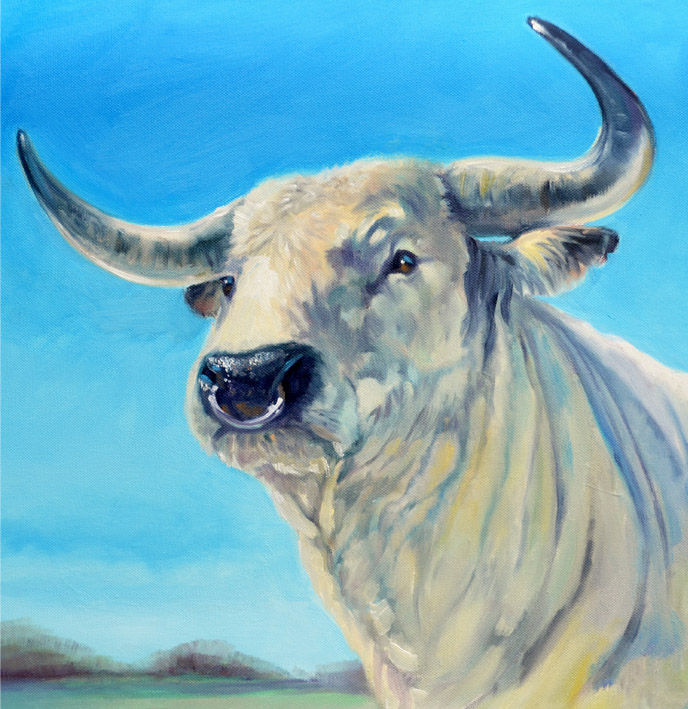 Bull.jpg