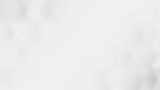 white-gray-background.jpg