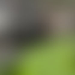 Origym Level 2 Gym Instructor Assessment