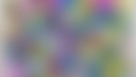 学び舎に咲いた夏