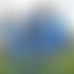 Warman's Strike defeats Aylesbury!