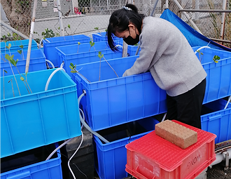 working at mesocosm.png