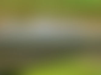 Stadyumlarda Profesyonel Ses, Işık ve Görüntü Sistemleri: En Yeni Teknolojilerle Etkileyici Deneyim