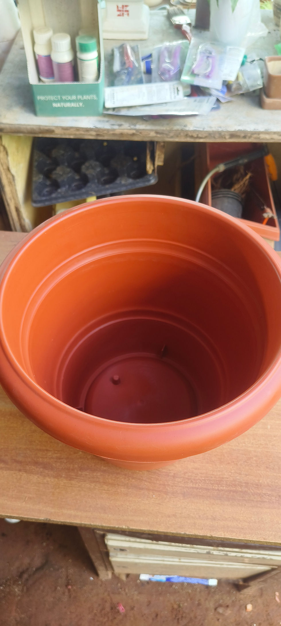 Thumbnail: 12"plastic pots  