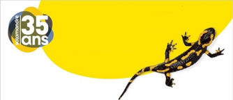 Antisèches : collection La salamandre + CONCOURS !!!