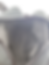Thumbnail: LINING