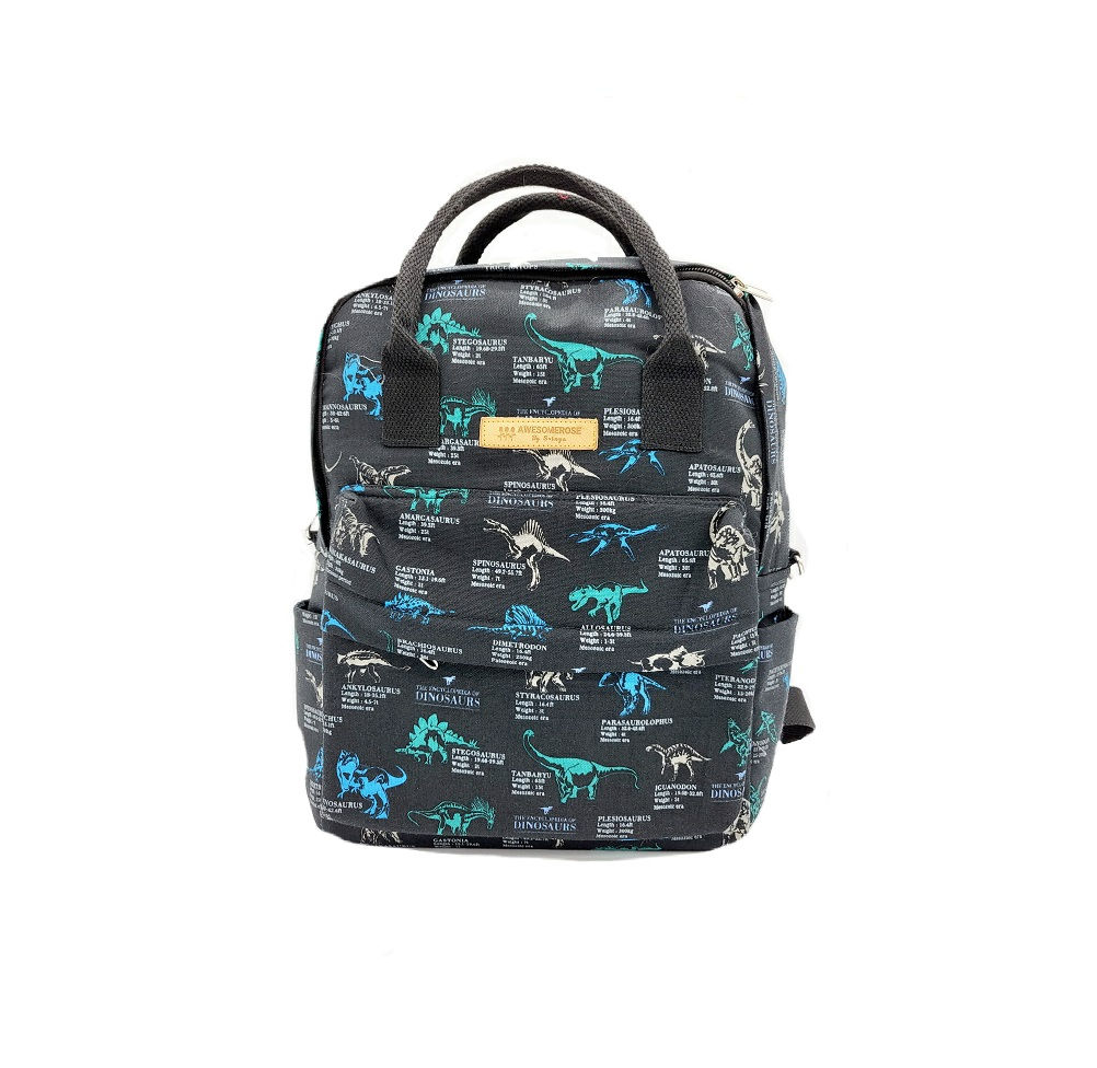 Dinosaur Backpack, small bow, with multiple pockets, AWESOMEROSE'S. For school use