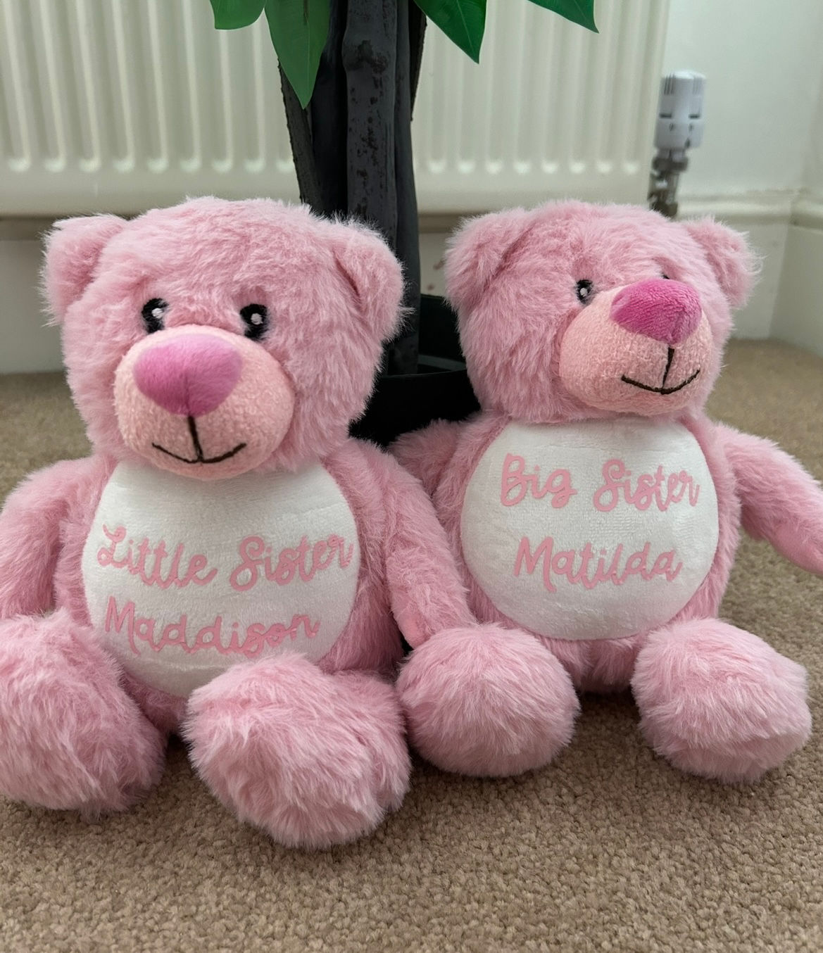 Pink & Blue Teddies