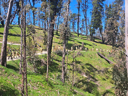 IMG-20231008-WA0149.jpg