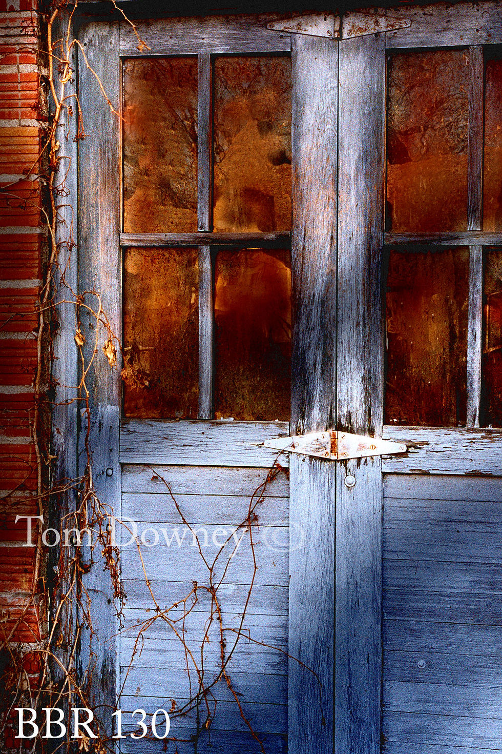 Blue Door 130.jpg