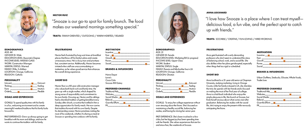 Two personas: Hector Ruiz and Anna Lockhard and their demographics, personalities, and their biographies.