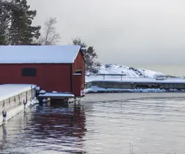 Fågelsundet, Suède 4.webp