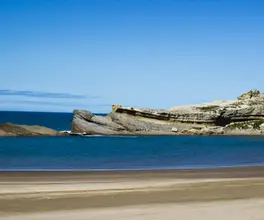 Castlepoint, Nouvelle-Zélande.webp