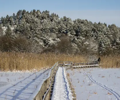 Hjälstaviken, Suède.webp