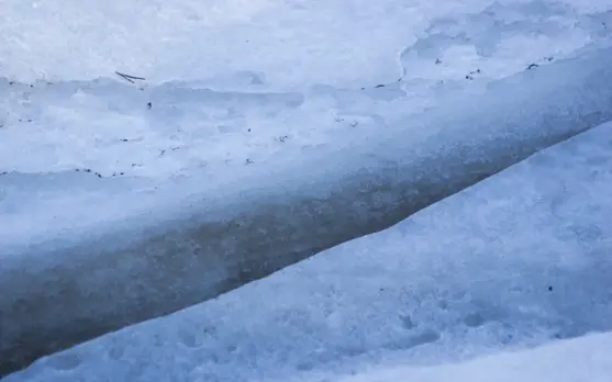 Fågelsundet, Suède 2.webp