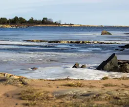Fågelsundet, Suède.webp