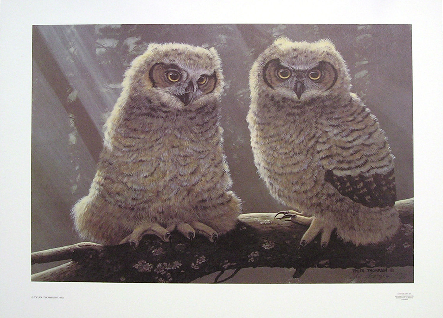 Out on a Limb - Tyler Thompson - Limited Edition No. 15 - 15.25 x 20.25