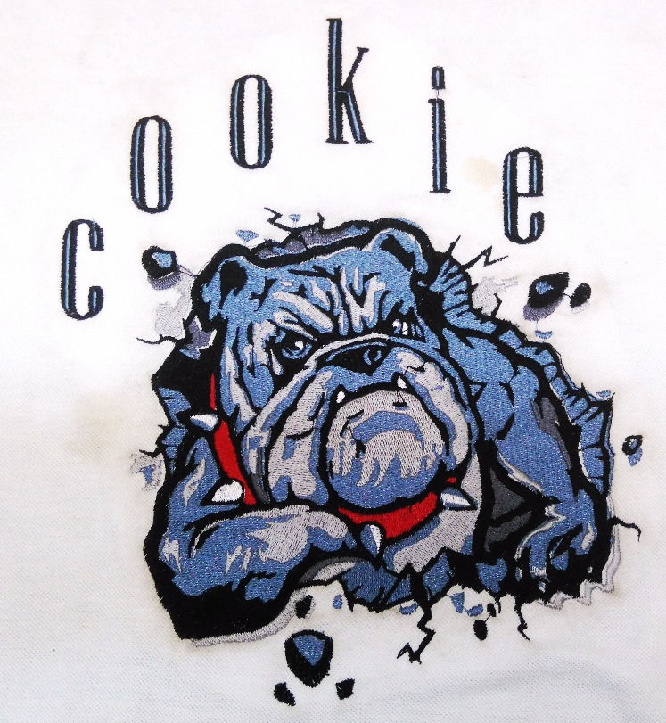 Pitbull COOKIE