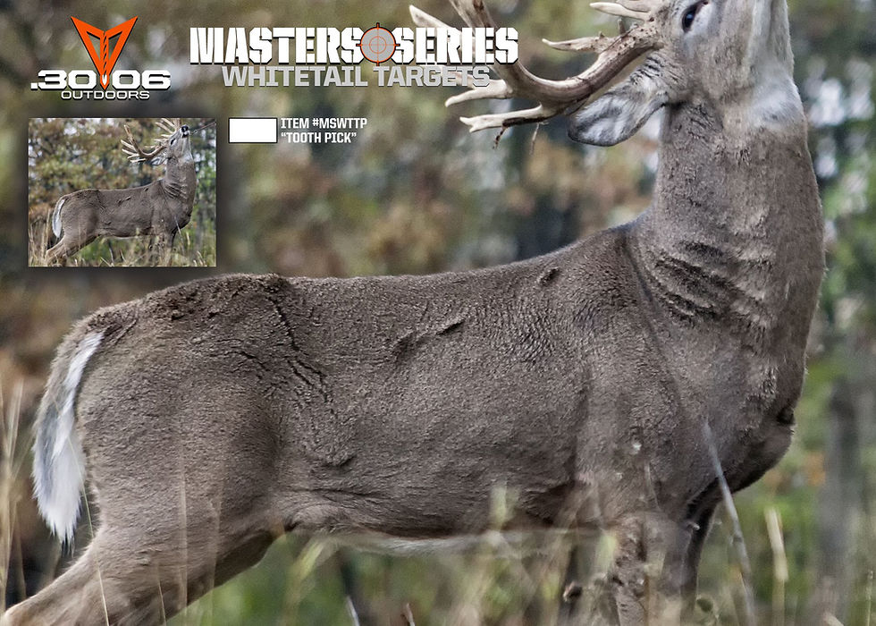 Thumbnail: Masters Series - Whitetail Targets