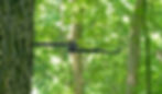 Thumbnail: Huntin' Hanger -Small 1 Hook