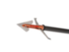 Bloodbath 100 Grain Broadhead