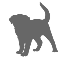 Dog-Shadow----Animal-Pet-Silhouette-Outl