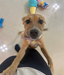 Photo Nov 12 2024, 12 29 41 PM (1).jpg