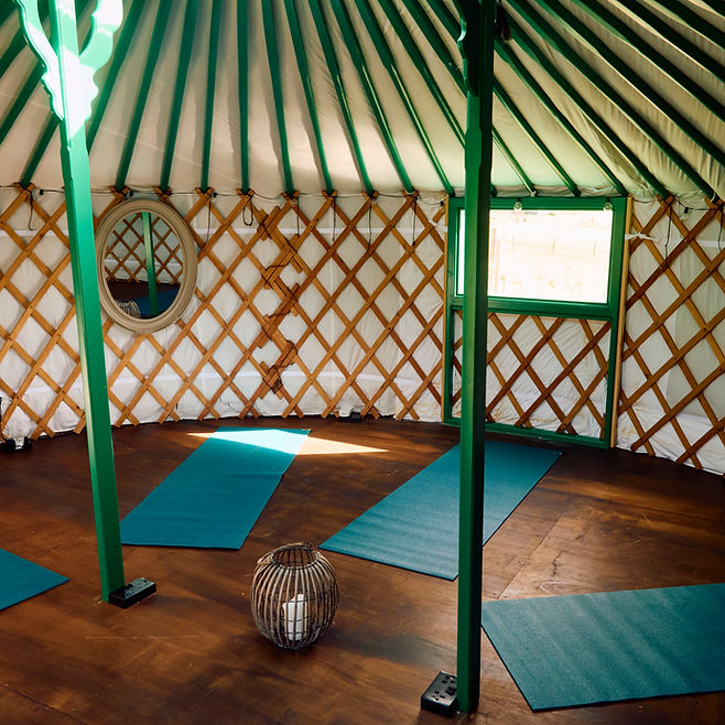 Ditchling Wild Sauna, photo 3