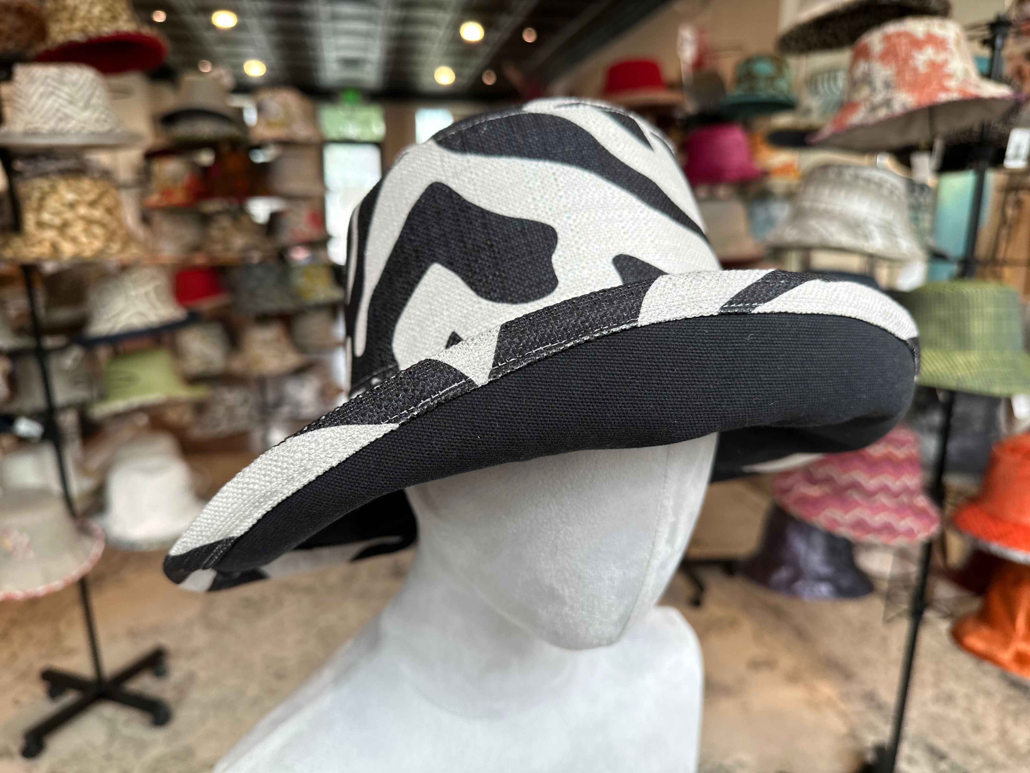 Black And White Zebra