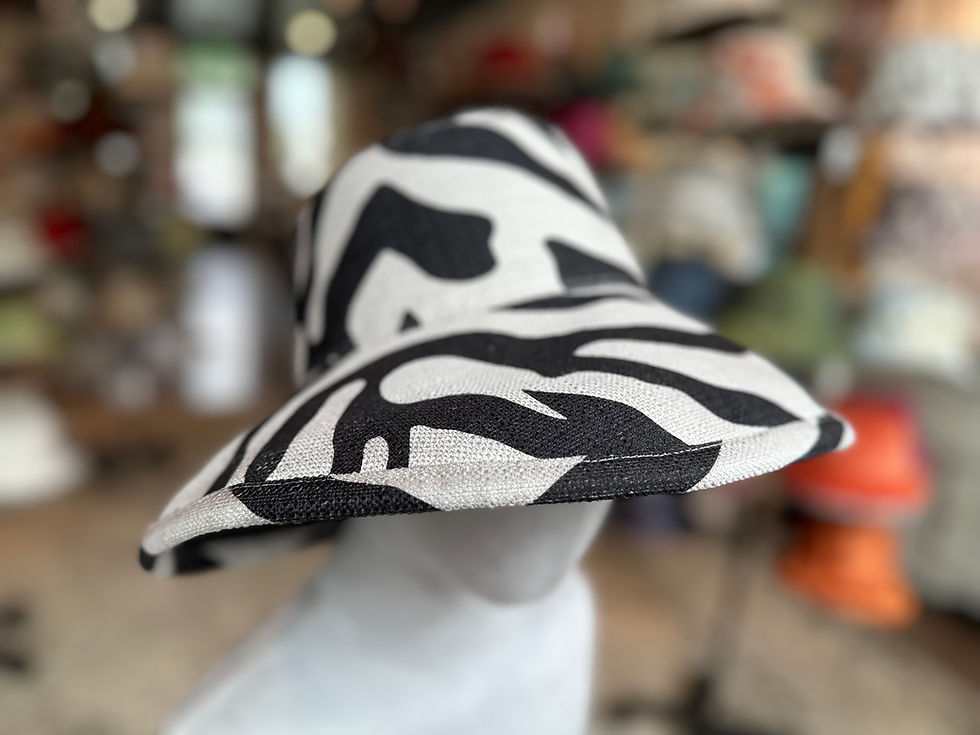 Thumbnail: Black And White Zebra