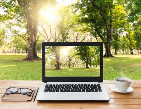 workinnature.webp