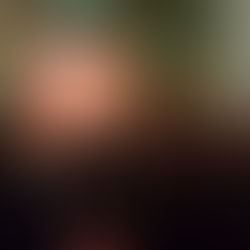 Networking with Shona Robison