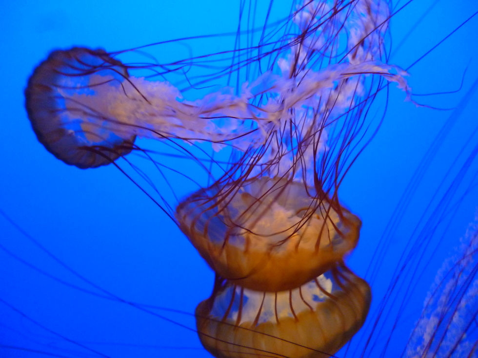 P1060416.JPG
