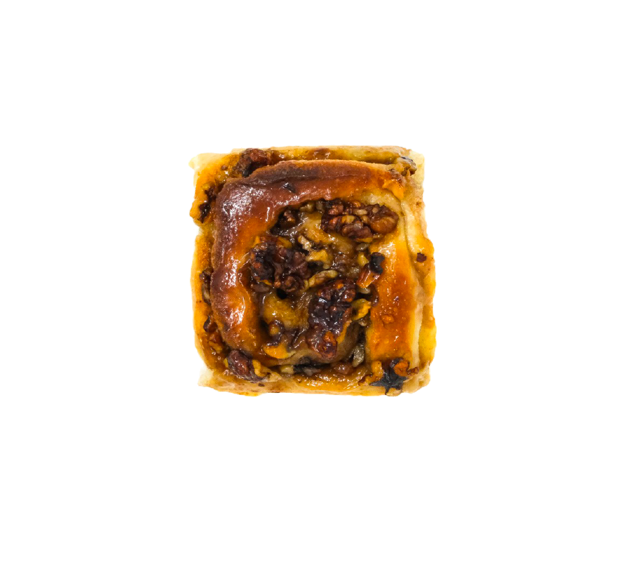 Walnuss-Ahorn-Schnecke