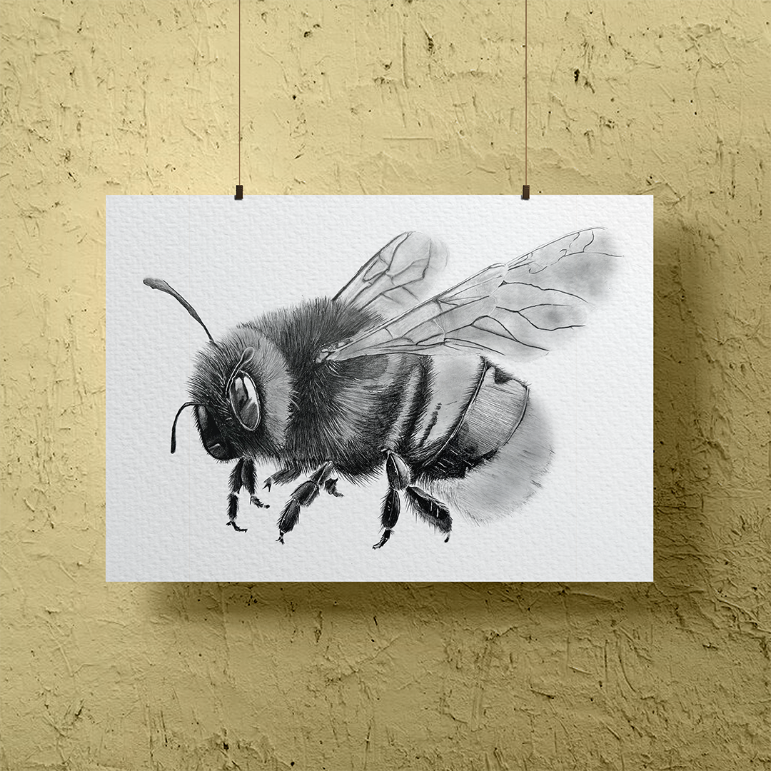 הדפס נאמן למקור - בומבוס