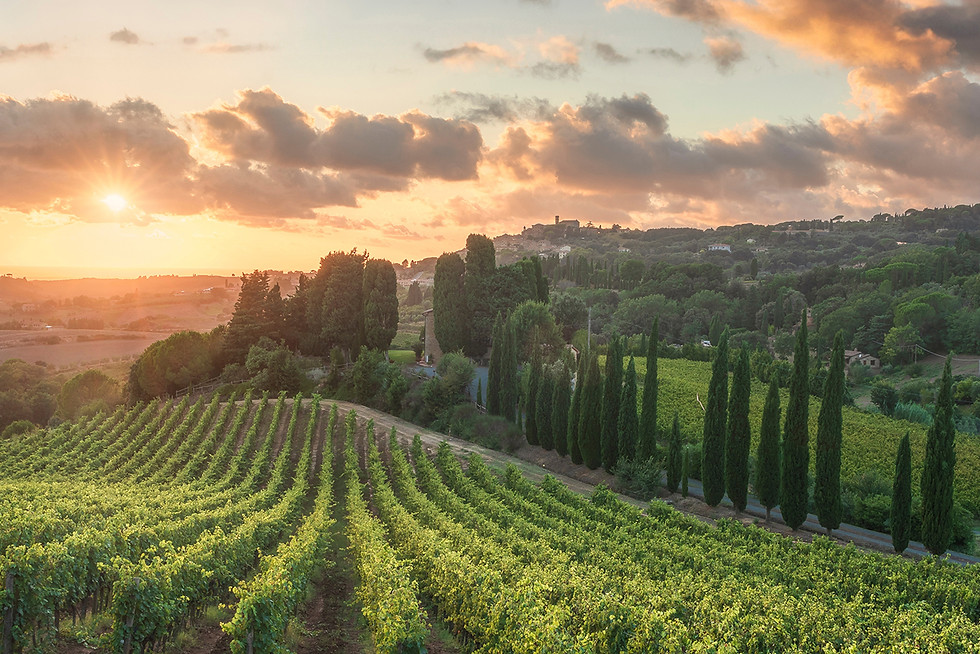 maremma_nograd.jpg
