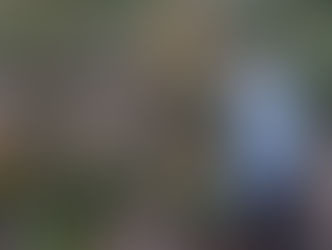 採れたて茄子と手作りジャムー