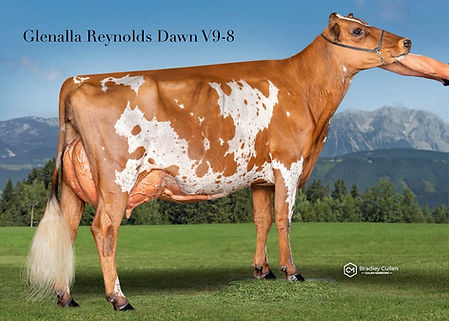 Dawn V9-8.1.jpg