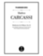 Carcassi Moderato in A Minor