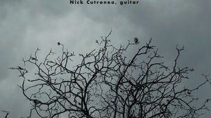 Emergence