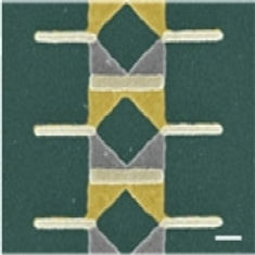 Yoav Blau High efficiency coupling_edite