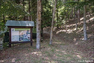 lierna-moggiona-30.jpg
