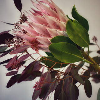 DSC_0100.jpeg