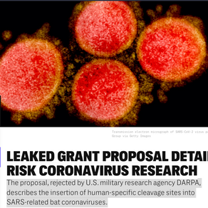 Confirmed:US Military States COVID-19 Was Created by a US-Funded EcoHealth Alliance Program at Wuhan