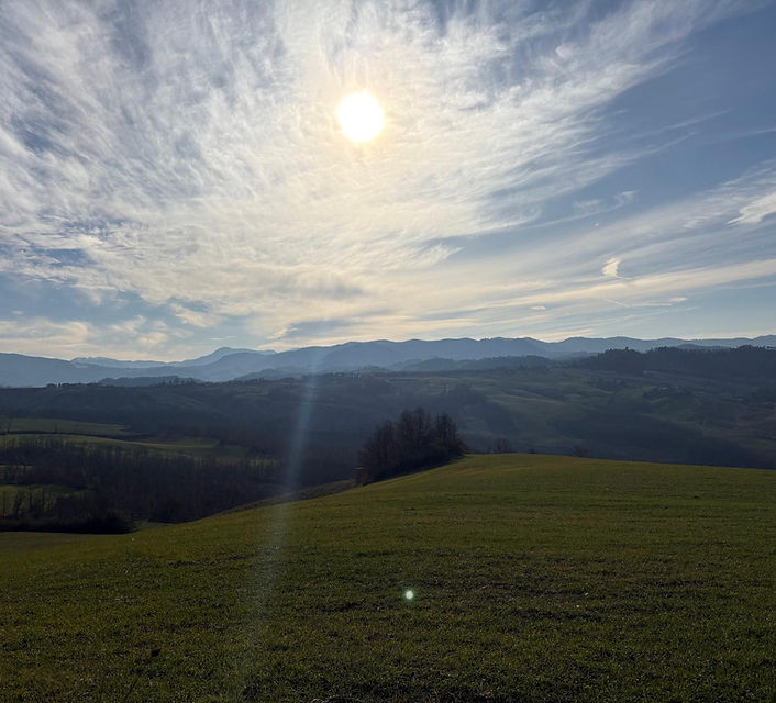 WhatsApp Image 2026-01-07 at 10.20.06.jpeg