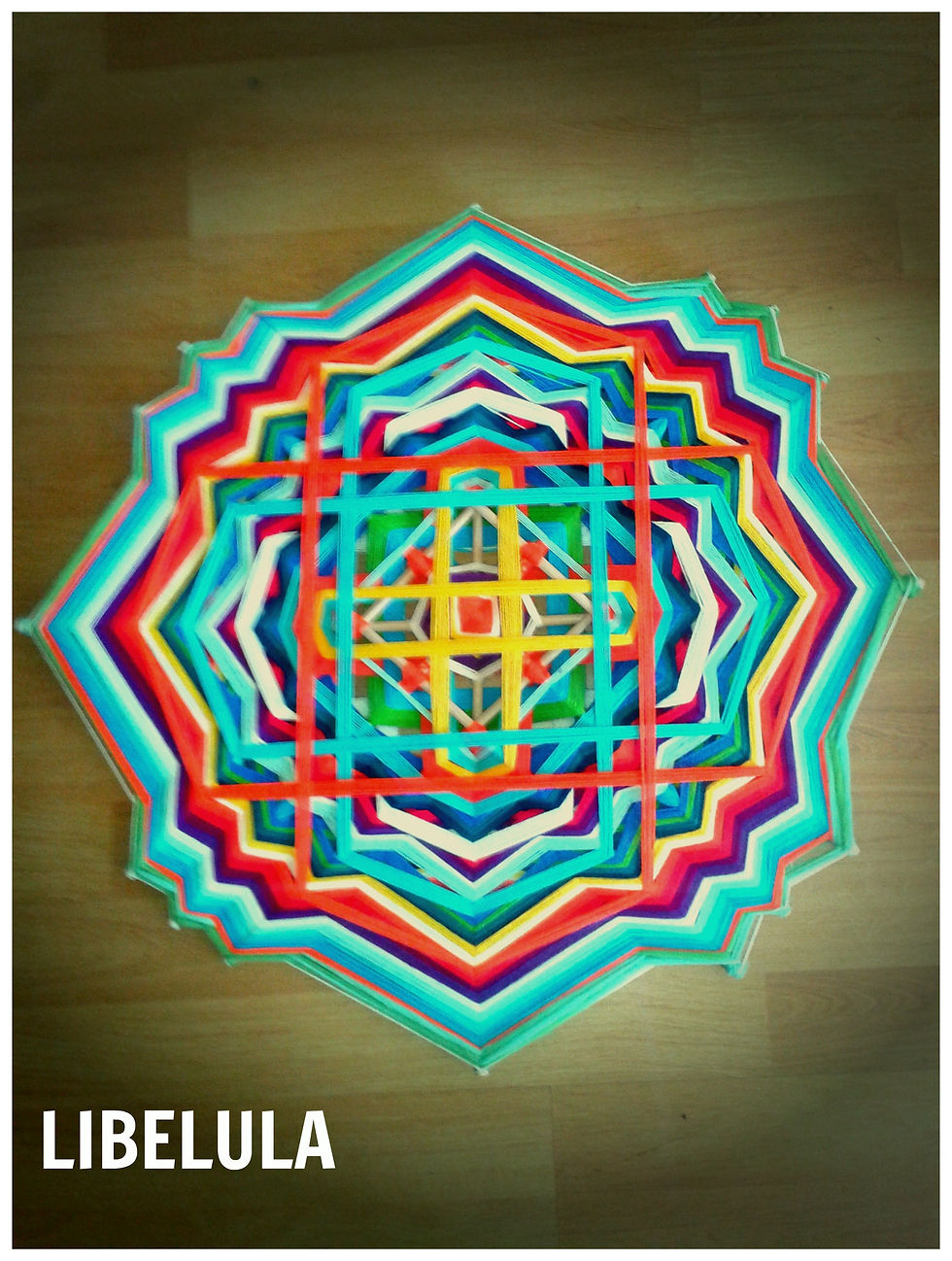 mandala pato.jpg