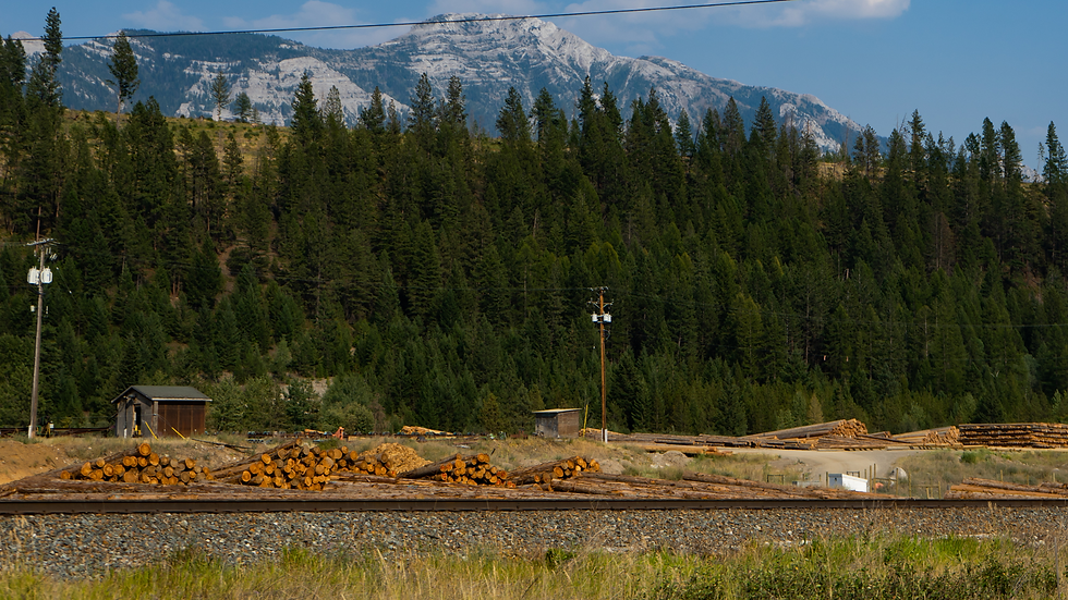 Scenic views of Fernie and Cumberland, showcasing the essence of Stick & Stone’s unique destinations.